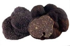 Truffe Noire -tuber Melanosporum Vitt.